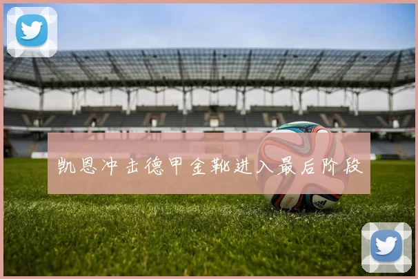 凯恩冲击德甲金靴进入最后阶段