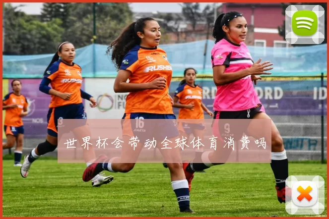 世界杯会带动全球体育消费吗