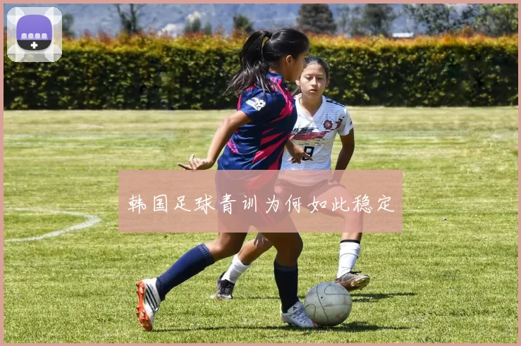 韩国足球青训为何如此稳定